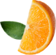 Trozo 1