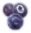 Trozo 7