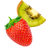 Trozo 8